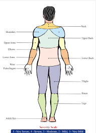 Body Map
